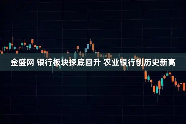 金盛网 银行板块探底回升 农业银行创历史新高