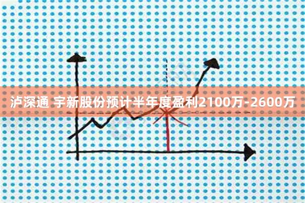 泸深通 宇新股份预计半年度盈利2100万-2600万