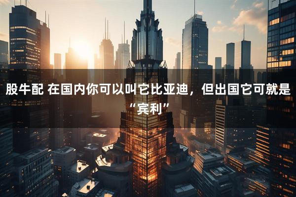 股牛配 在国内你可以叫它比亚迪，但出国它可就是“宾利”