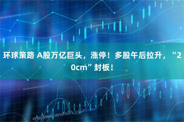 环球策路 A股万亿巨头，涨停！多股午后拉升，“20cm”封板！