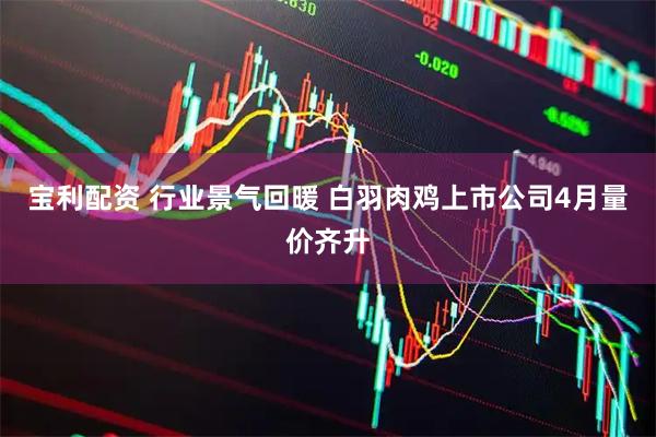宝利配资 行业景气回暖 白羽肉鸡上市公司4月量价齐升