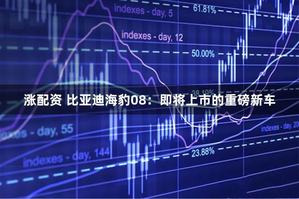 涨配资 比亚迪海豹08：即将上市的重磅新车