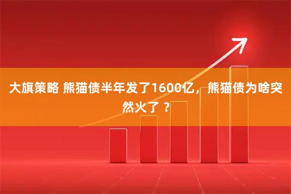 大旗策略 熊猫债半年发了1600亿，熊猫债为啥突然火了 ？